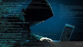 黑客爆料正能量视频大全,黑客爆料精选视频大盘点  第2张